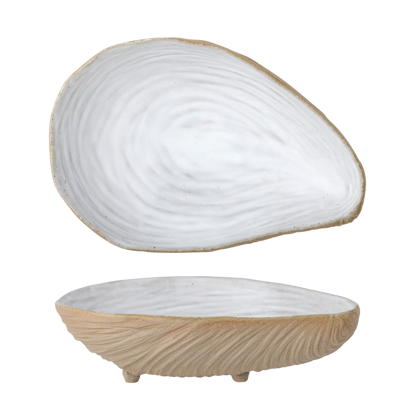 Seashell dish with legs
