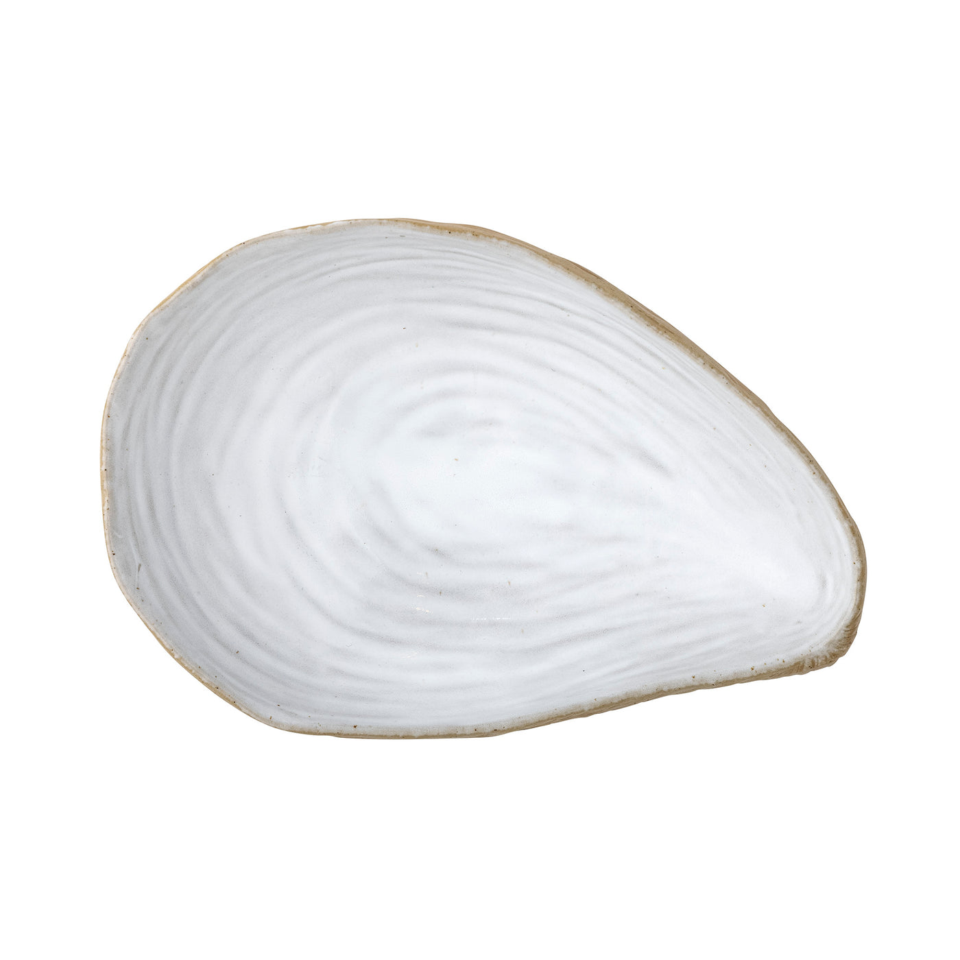 Seashell dish