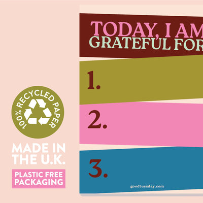 Daily Gratitude Pad | Work Hard, Play Nice | A6