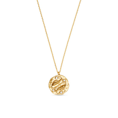 Pisces Zodiac Necklace