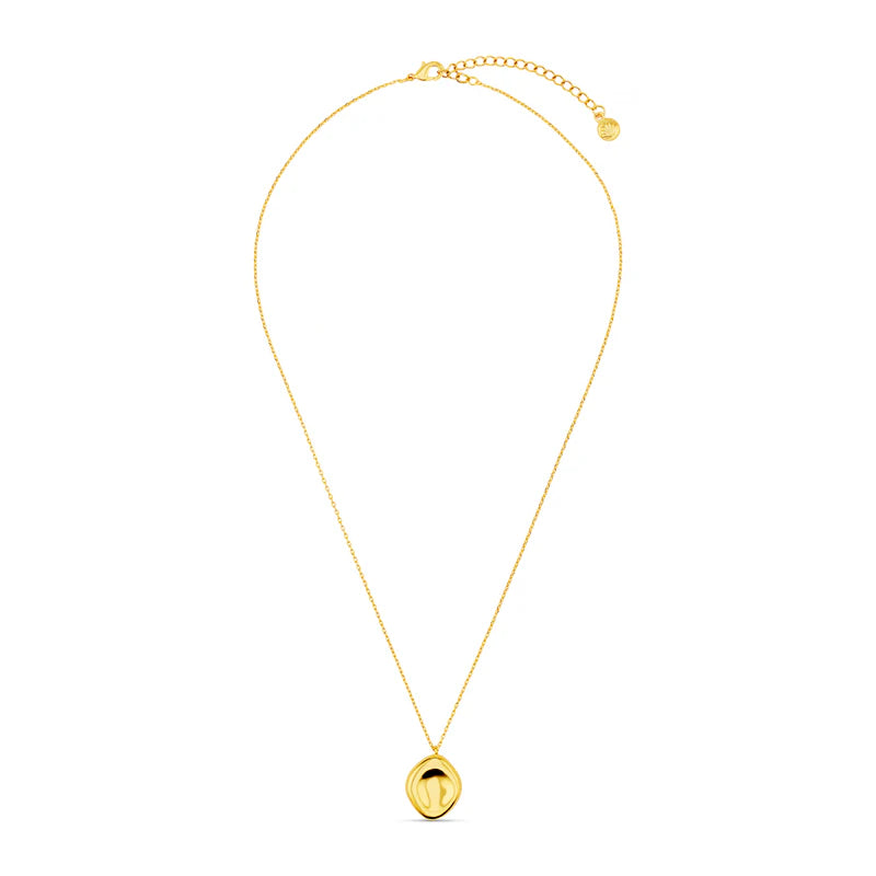 Polished Organic Oval Charm Necklace - Gold