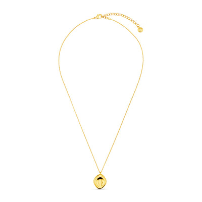 Polished Organic Oval Charm Necklace - Gold